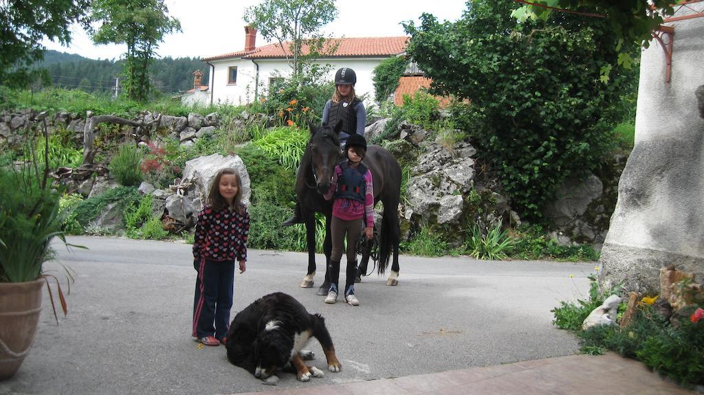 Tourist Farm Dujceva Domacija Villa Vremski Britof Ngoại thất bức ảnh