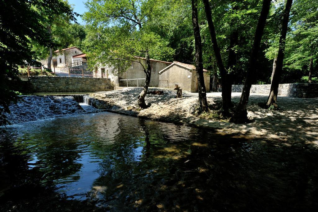 Tourist Farm Dujceva Domacija Villa Vremski Britof Ngoại thất bức ảnh